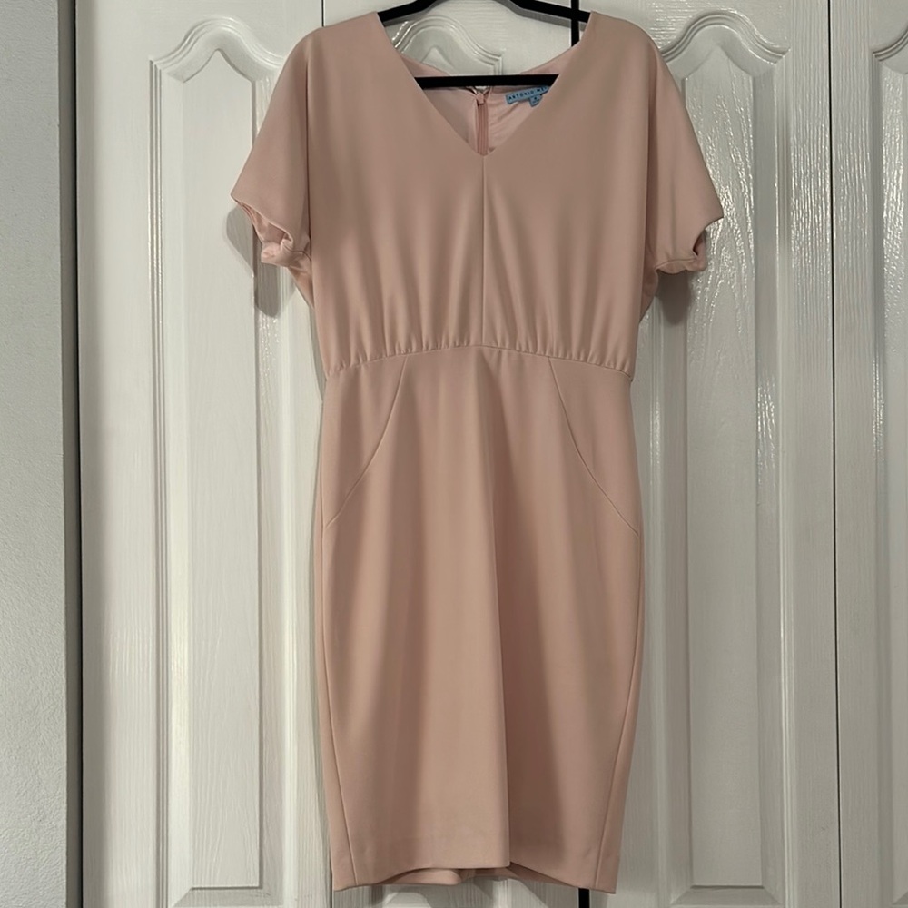 Antonio Melani Blush Pink Dress
